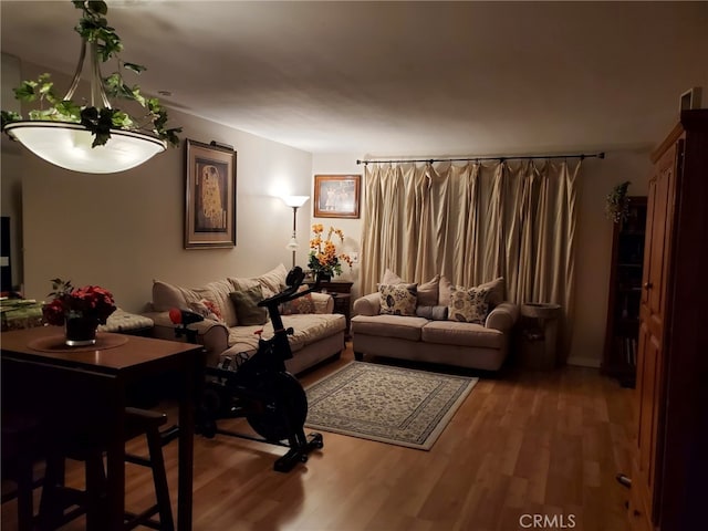 living room featuring hardwood / wood-style floors