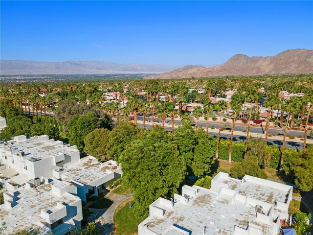 48864 Desert Flower Dr, Palm Desert, CA 92260 - photo 30