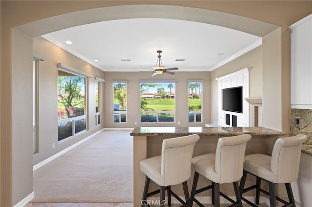 interior space featuring ceiling fan and ornamental molding