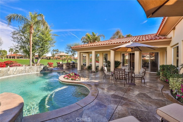 view of swimming pool featuring a patio