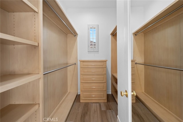 spacious closet featuring dark hardwood / wood-style flooring