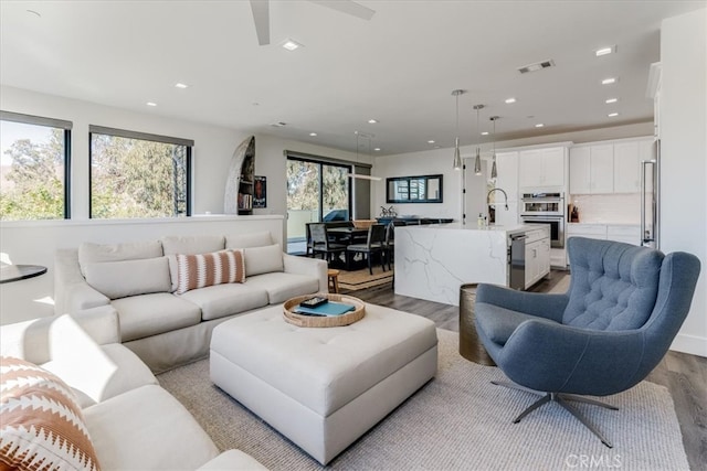 living room with light hardwood / wood-style flooring, sink, and a wealth of natural light