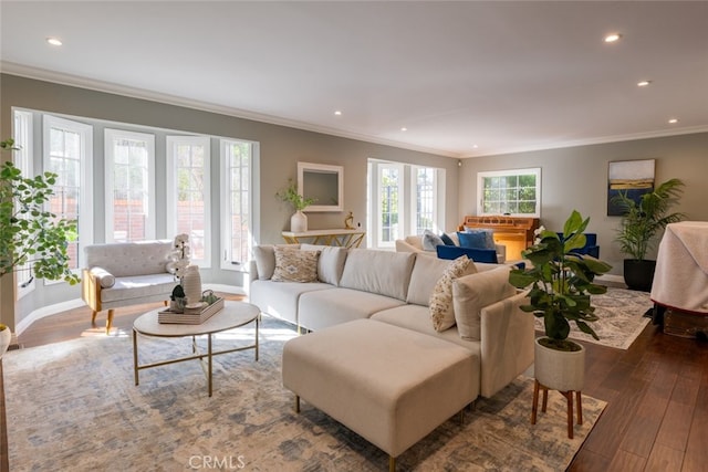 living room with dark hardwood / wood-style flooring and crown molding