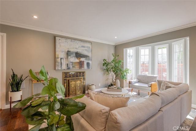 living room with wood-type flooring and crown molding