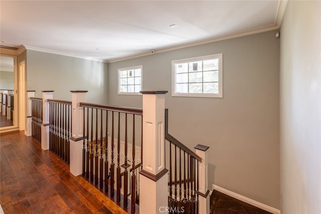 hall featuring dark hardwood / wood-style floors and ornamental molding