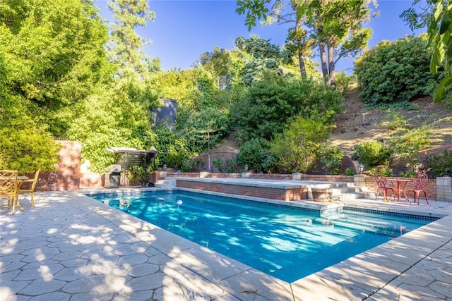 view of pool with a patio area