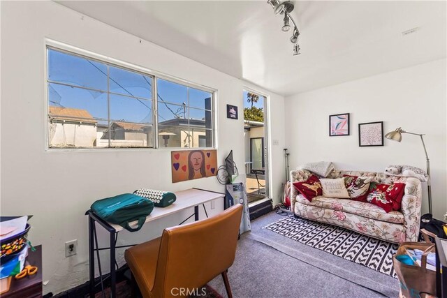 living room with carpet