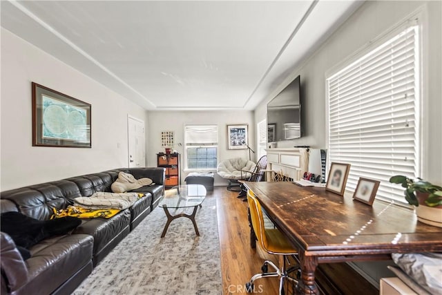 living room featuring wood finished floors