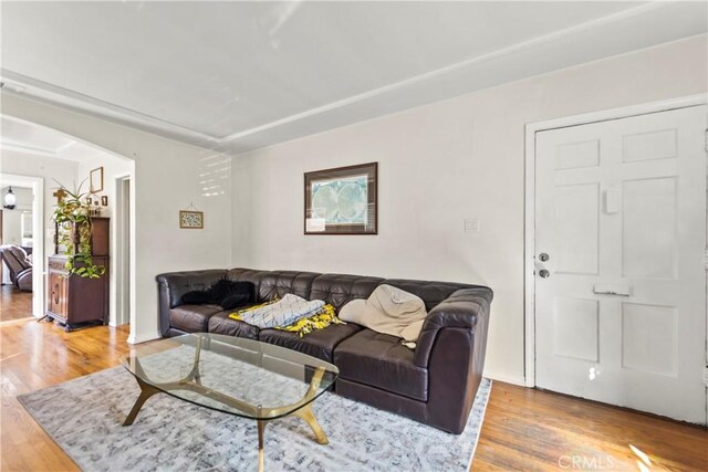 living room featuring hardwood / wood-style floors