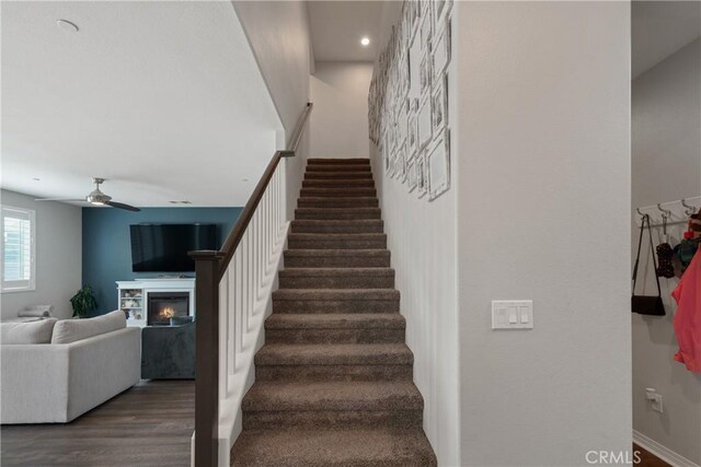 staircase featuring ceiling fan and hardwood / wood-style flooring