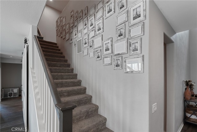 staircase with hardwood / wood-style flooring