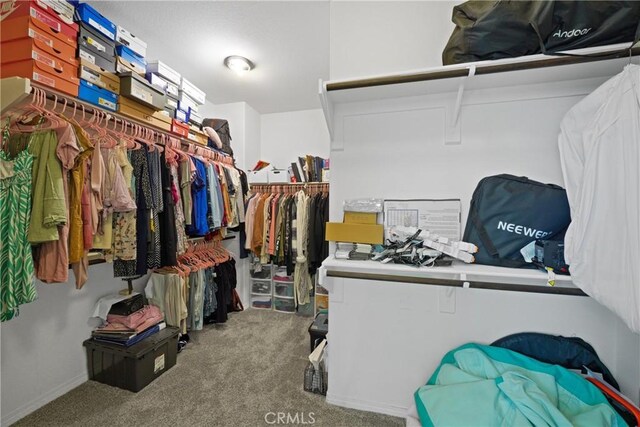 spacious closet with carpet floors