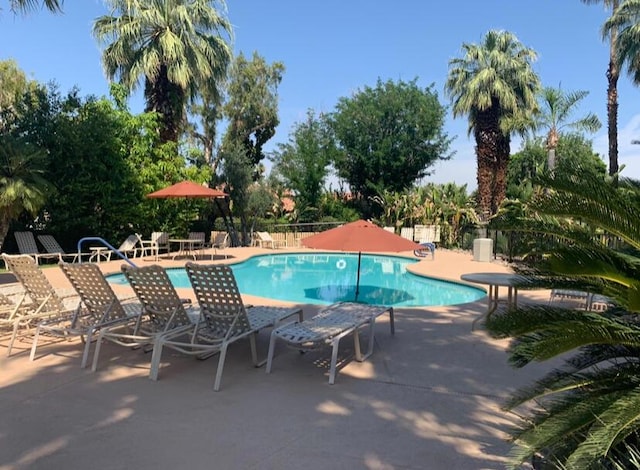 view of pool with a patio area