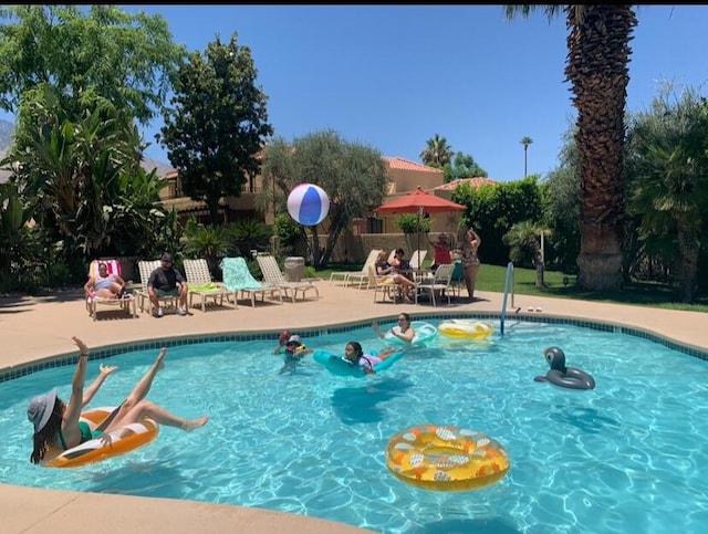 view of pool with a patio