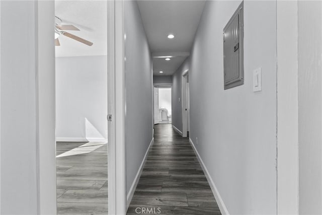 hall featuring dark wood-type flooring and electric panel