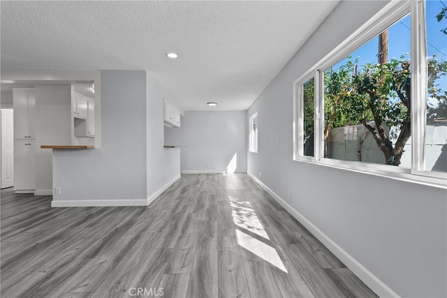 unfurnished living room featuring a textured ceiling and light hardwood / wood-style flooring