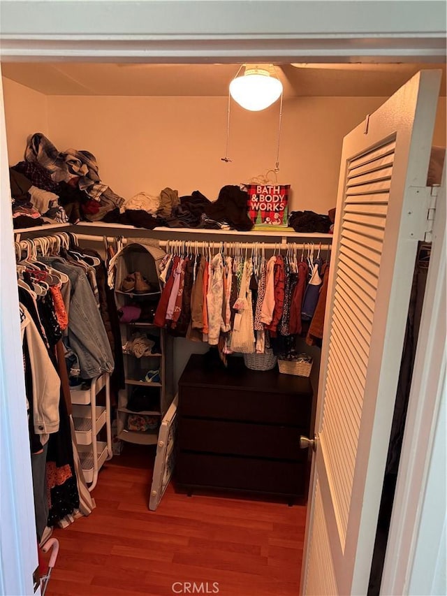 spacious closet with wood-type flooring