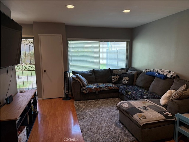 living room with wood-type flooring and a wealth of natural light