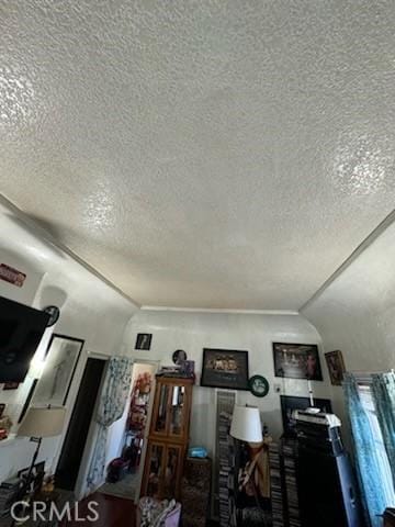 interior space with lofted ceiling and a textured ceiling