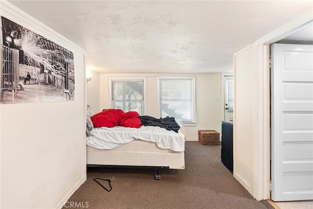 bedroom featuring carpet floors