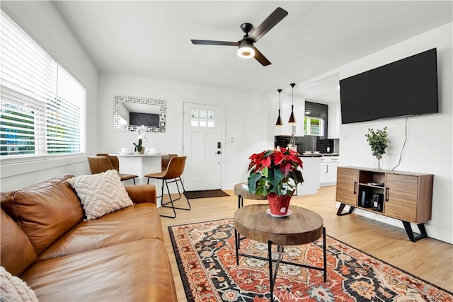 living room featuring ceiling fan and light hardwood / wood-style floors