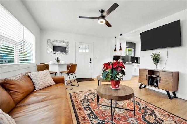 living room with ceiling fan and light wood-type flooring