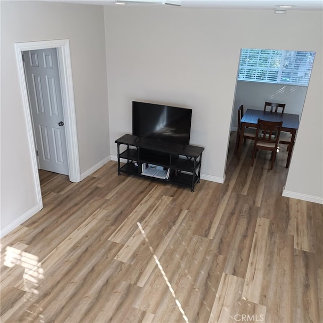 living room featuring wood-type flooring