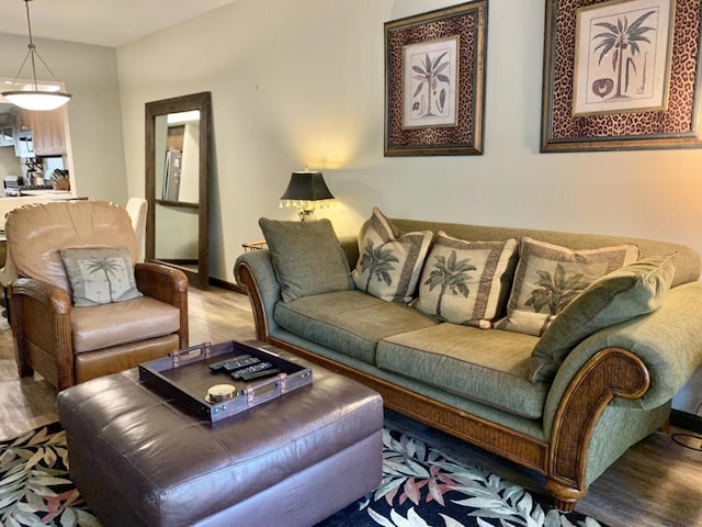 living room featuring hardwood / wood-style floors