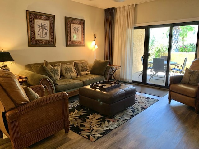 living room with hardwood / wood-style floors