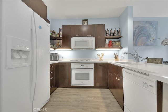 kitchen with dark brown cabinetry, white appliances, light wood-style flooring, open shelves, and a sink