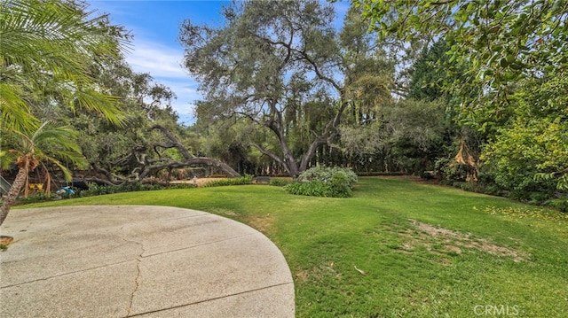 view of yard with a patio area