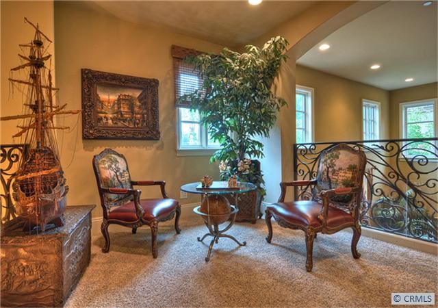 sitting room featuring carpet floors and a wealth of natural light