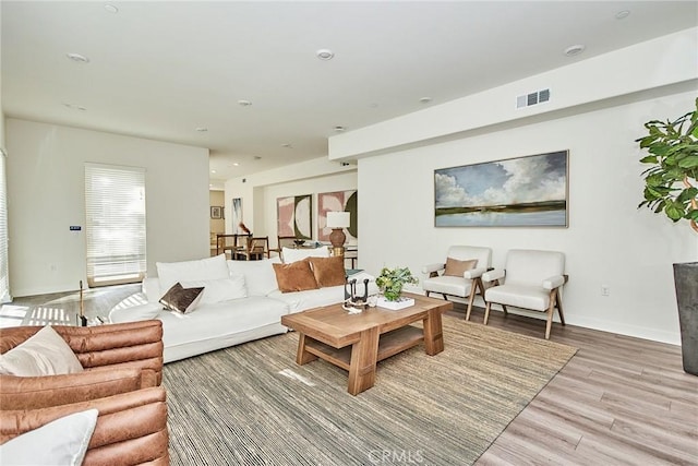 living room featuring wood-type flooring