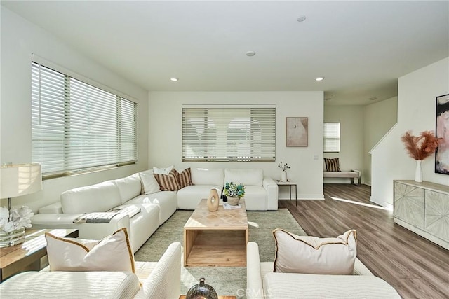 living room featuring hardwood / wood-style flooring