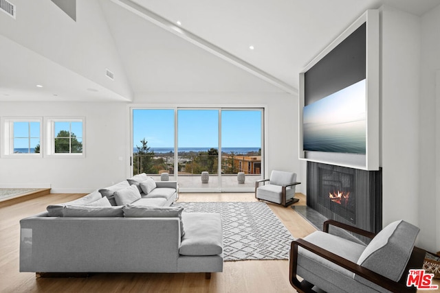 living room with vaulted ceiling and light hardwood / wood-style flooring