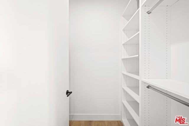 spacious closet featuring wood-type flooring