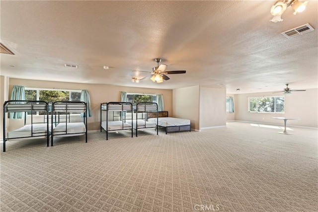 carpeted bedroom with multiple windows and a textured ceiling