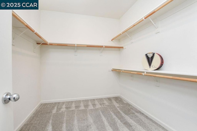 spacious closet with carpet floors