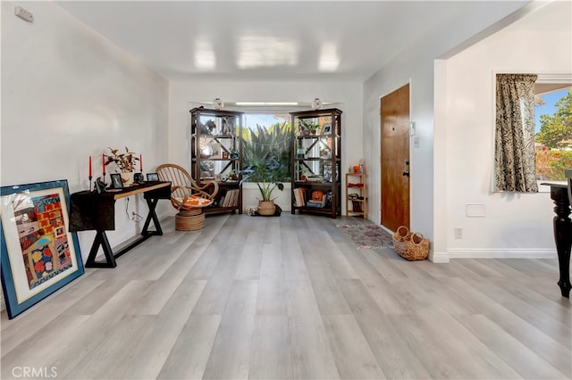 hall with light hardwood / wood-style flooring and plenty of natural light