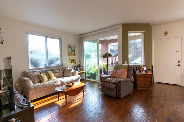 living room featuring dark wood-type flooring