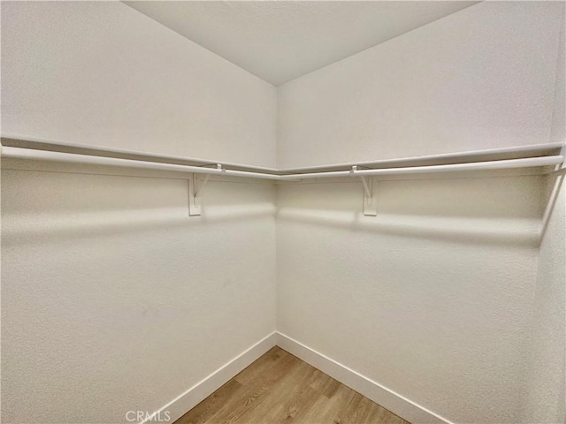 walk in closet with hardwood / wood-style floors