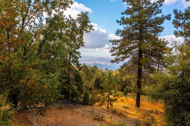 view of local wilderness