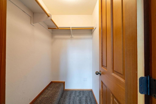 spacious closet featuring carpet flooring