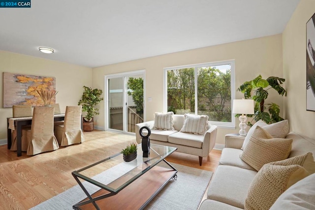 living room with light hardwood / wood-style flooring and a healthy amount of sunlight