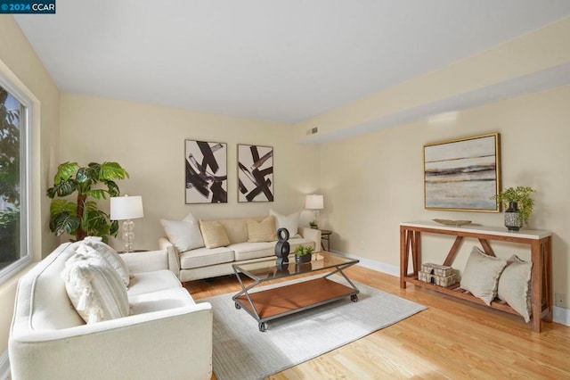 living room featuring wood-type flooring