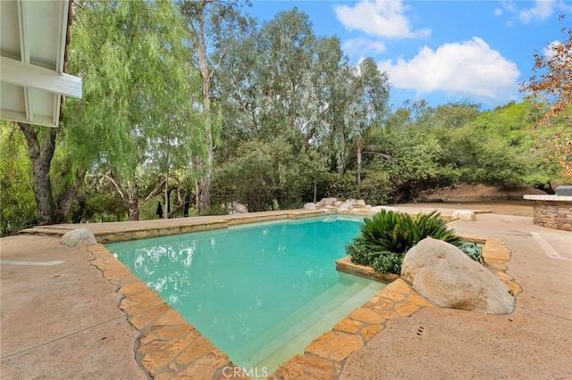 view of swimming pool