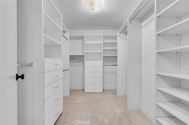 spacious closet with light colored carpet