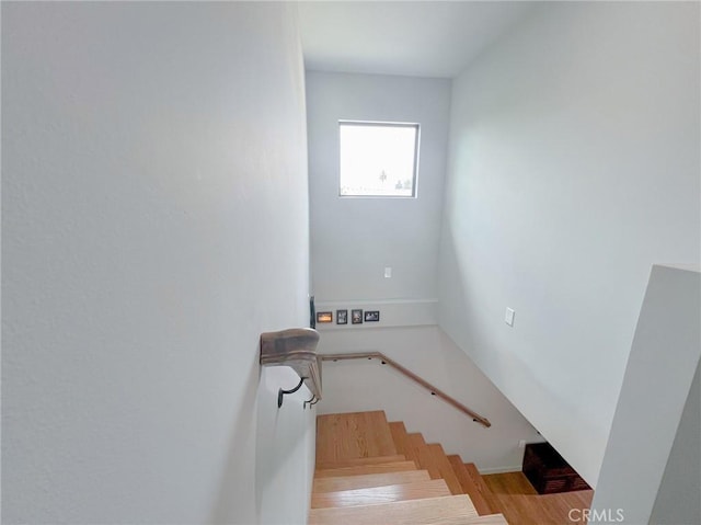 staircase with hardwood / wood-style floors