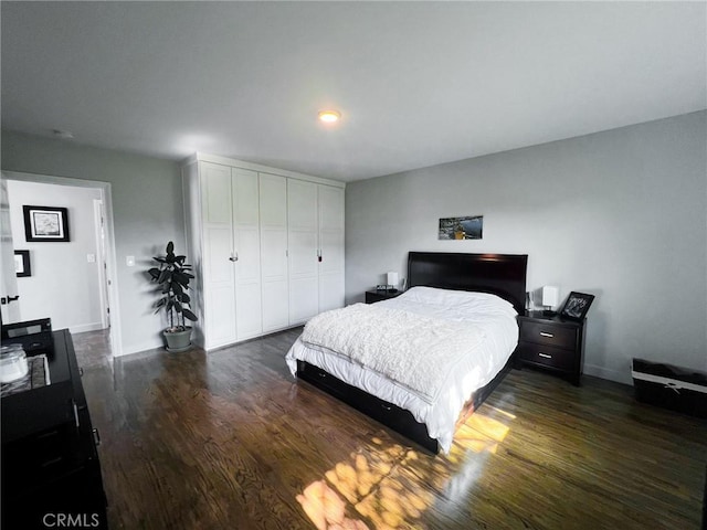 bedroom featuring dark wood-type flooring and a closet