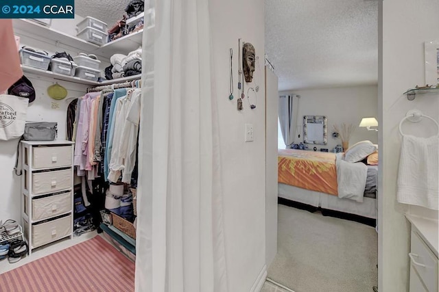 walk in closet with carpet floors